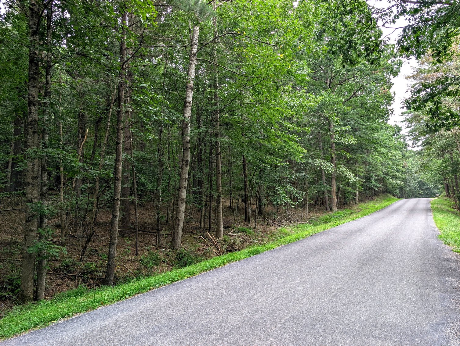 Image for 50+/- Acres Of Land In Rockingham County VA