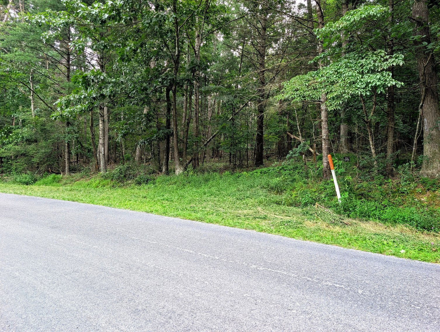 Image for 50+/- Acres Of Land In Rockingham County VA