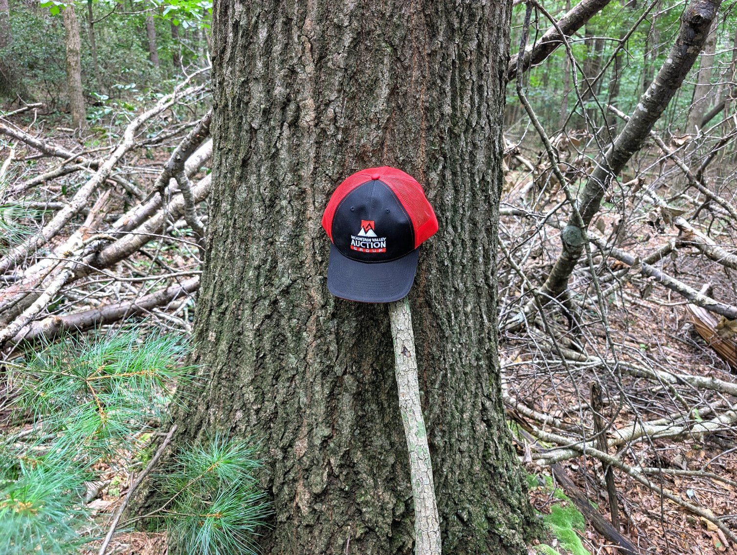 Image for 50+/- Acres Of Land In Rockingham County VA