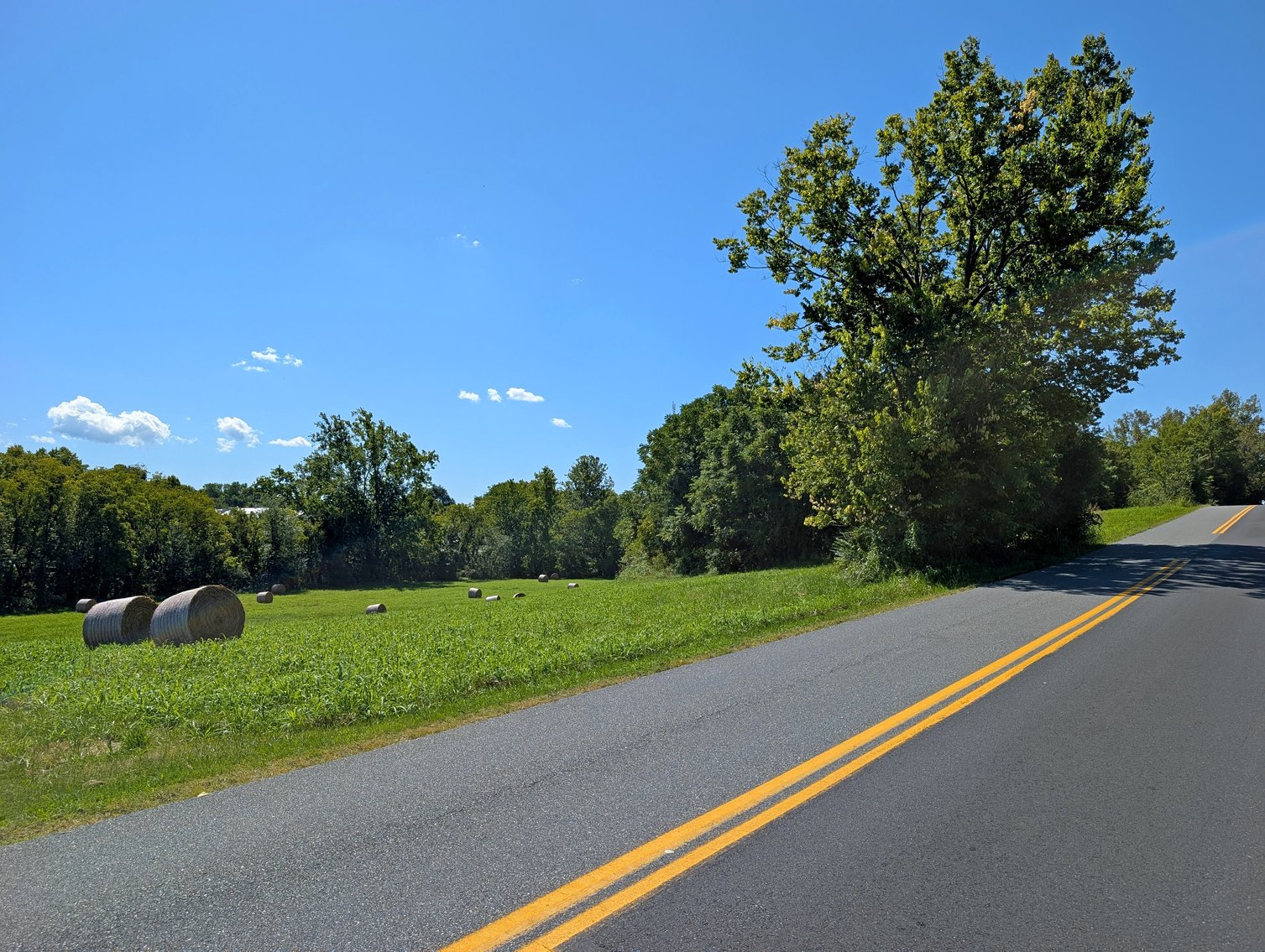 Image for Four Tracts Of Land In Broadway VA