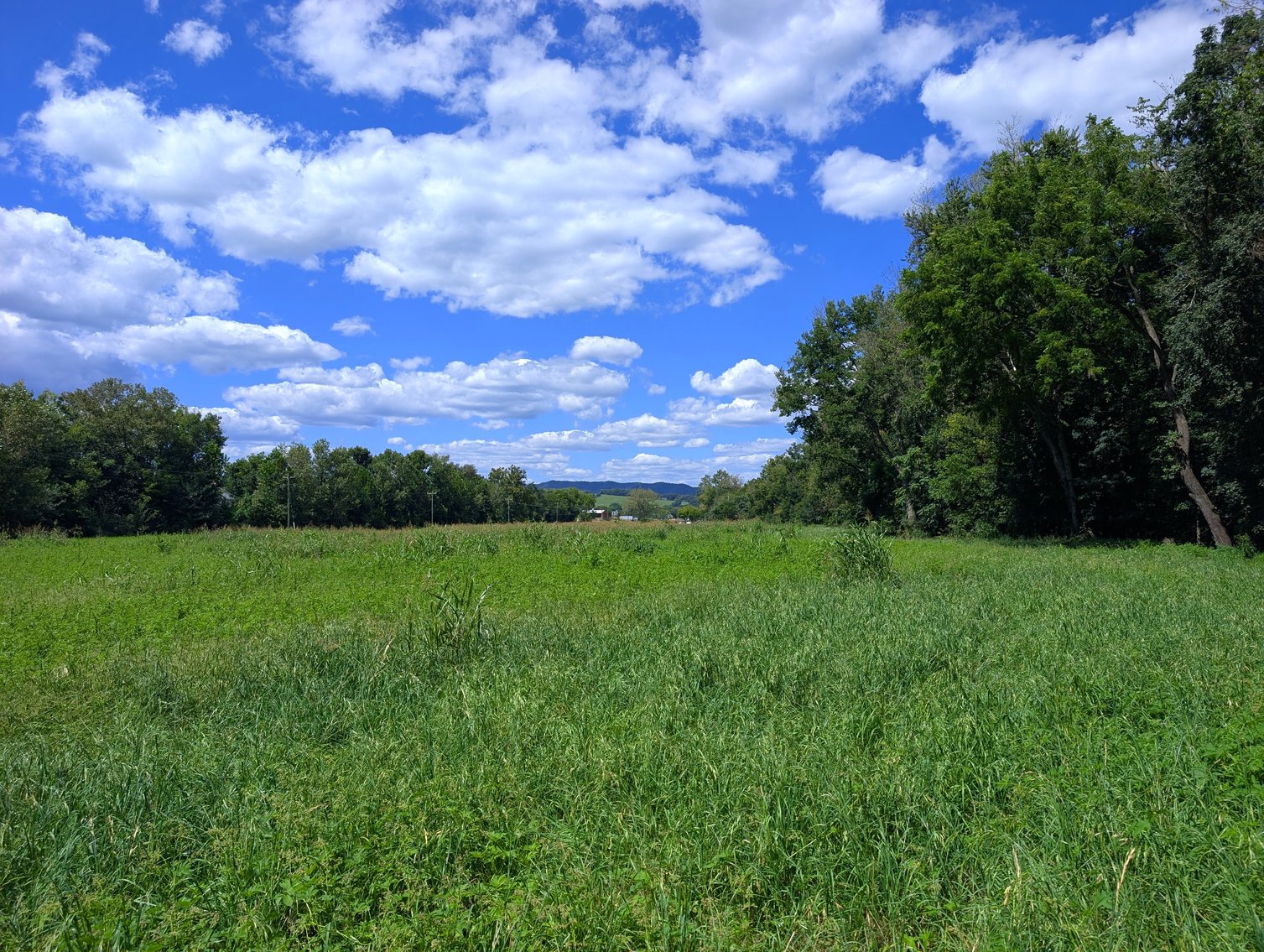 Image for Four Tracts Of Land In Broadway VA