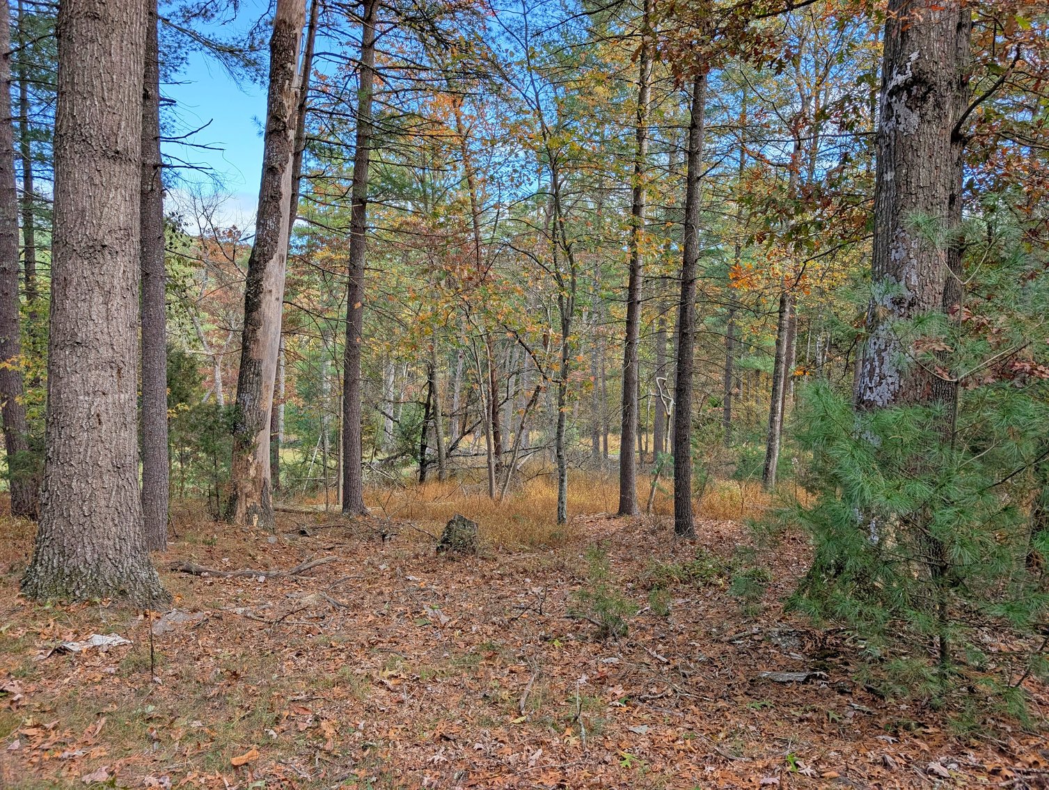Image for Cabin On 5 Acres Near Broadway VA