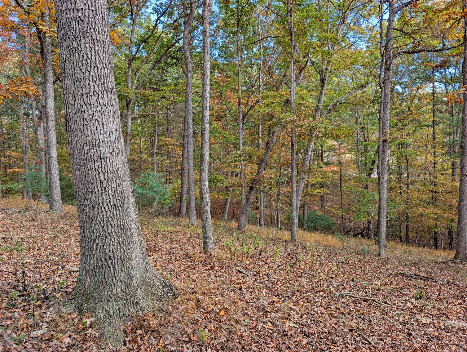 Image for Cabin On 5 Acres Near Broadway VA