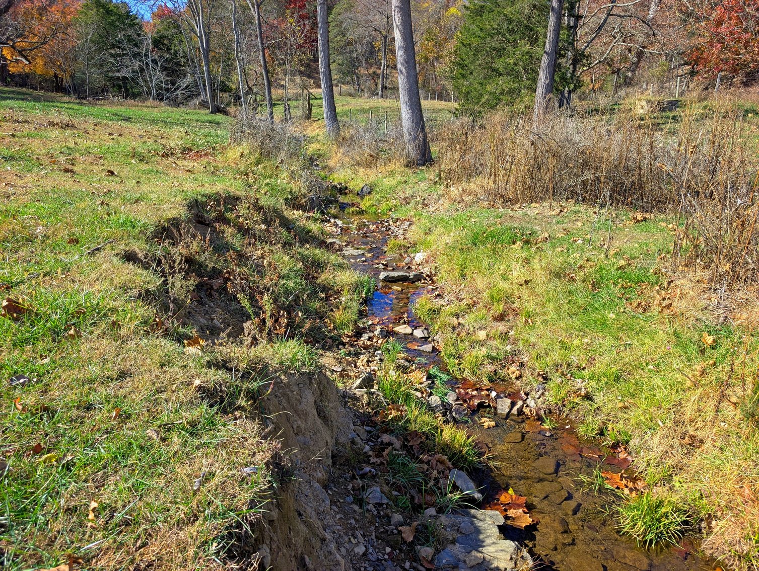 Image for 90 Acre Augusta County Farm Offered In Three Tracts