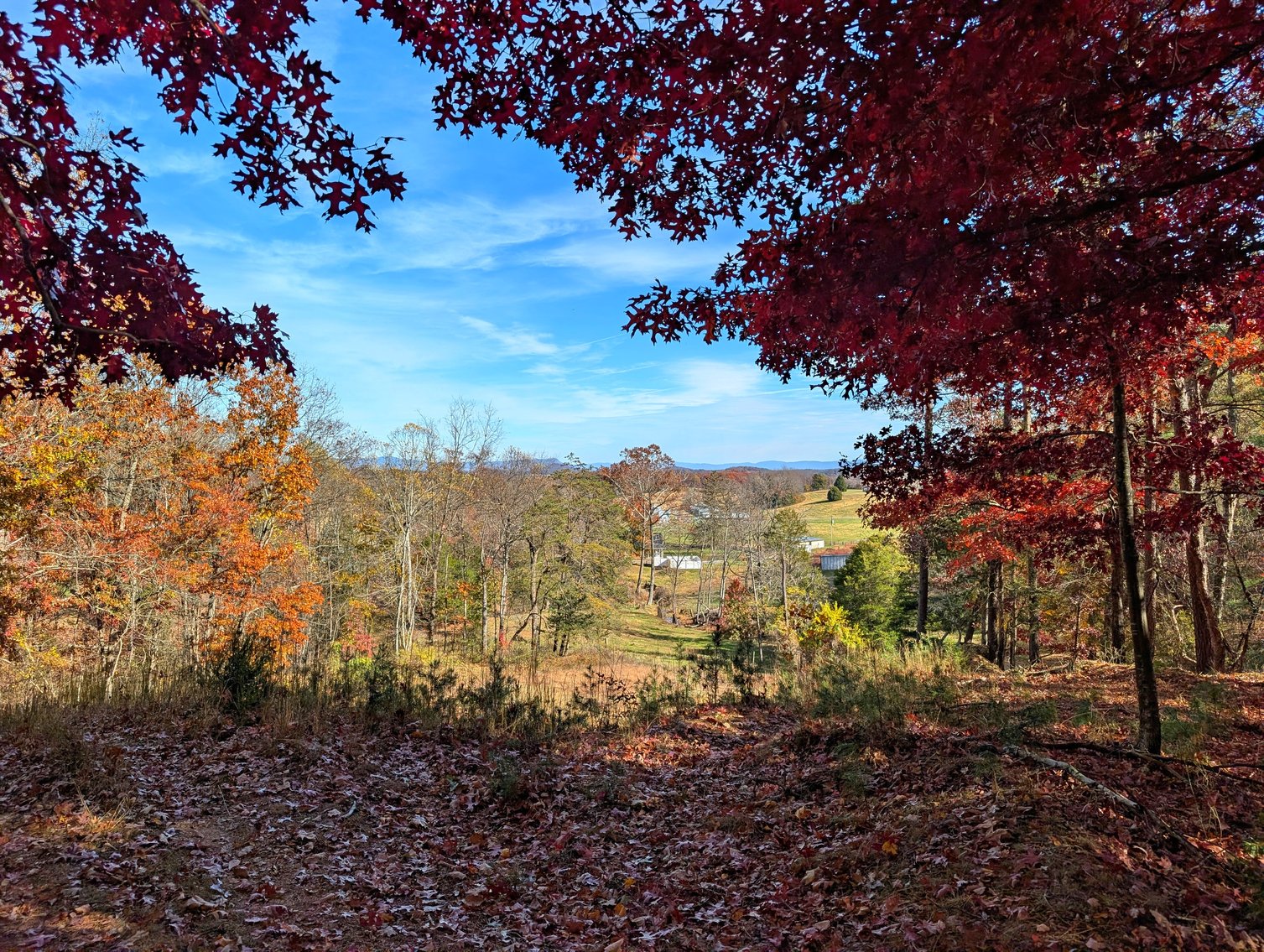 Image for 90 Acre Augusta County Farm Offered In Three Tracts
