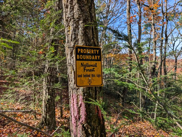 Image for 90 Acre Augusta County Farm Offered In Three Tracts