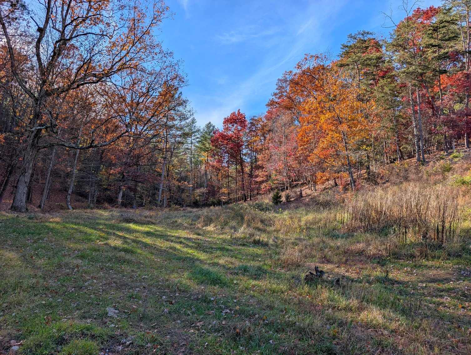 Image for 90 Acre Augusta County Farm Offered In Three Tracts