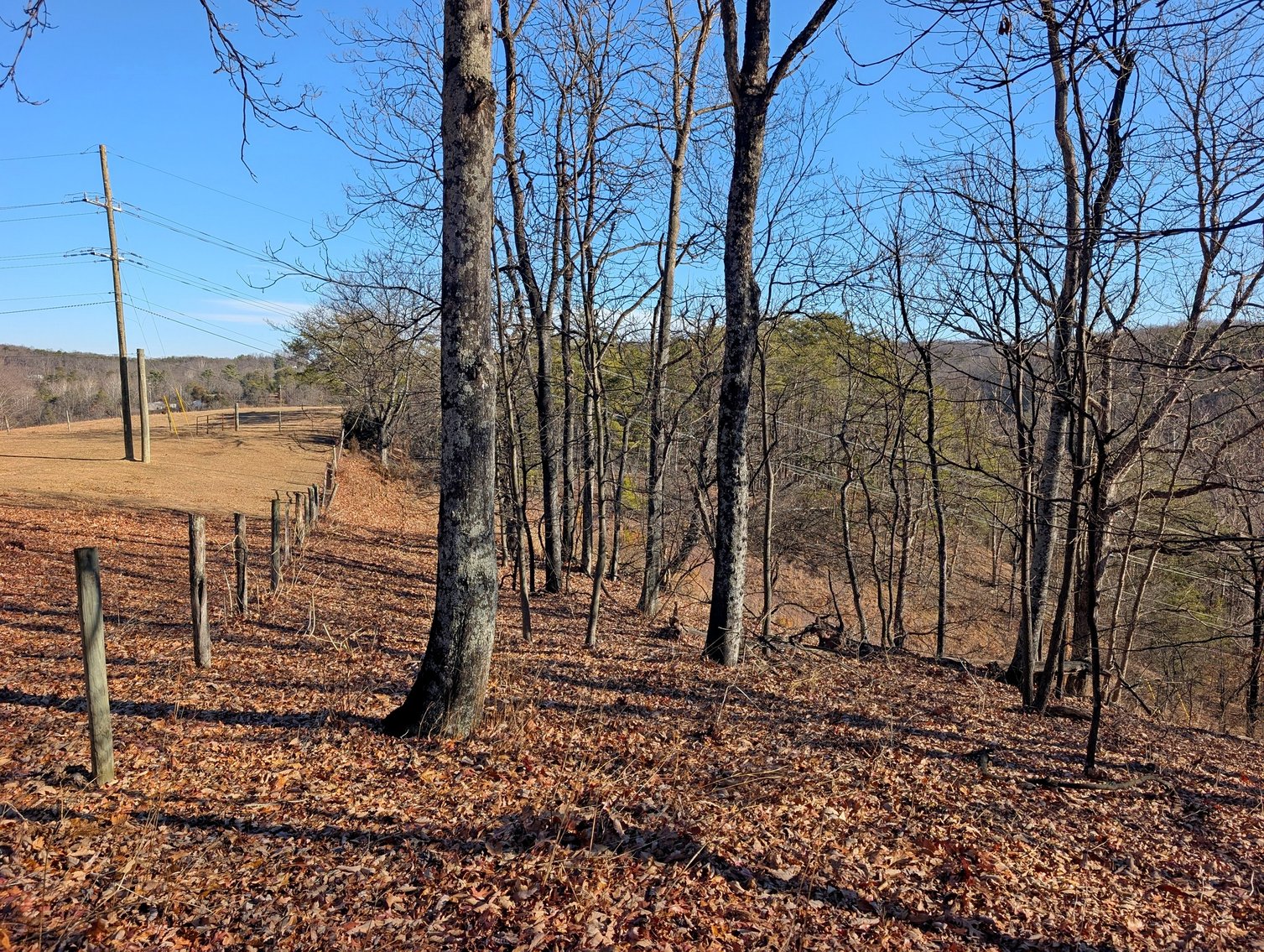 Image for 8.4 +/- Acres Near Winchester VA