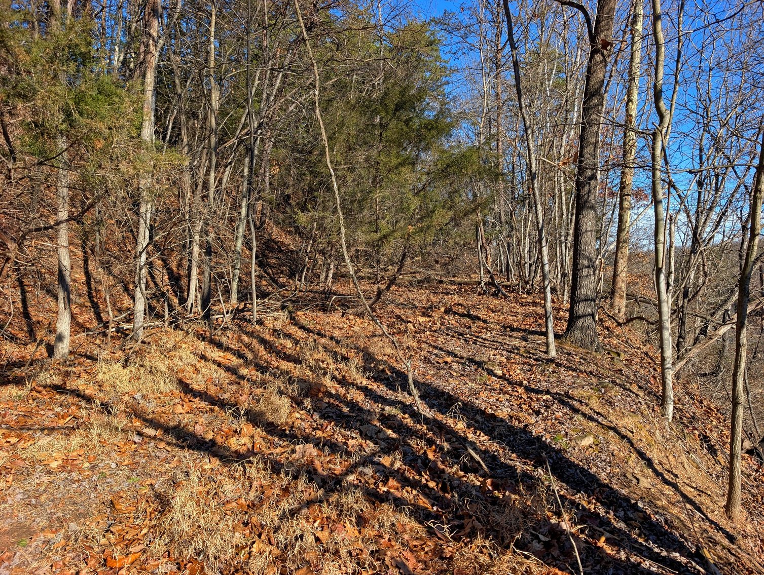 Image for 8.4 +/- Acres Near Winchester VA
