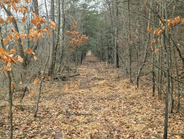 Image for 8.4 +/- Acres Near Winchester VA