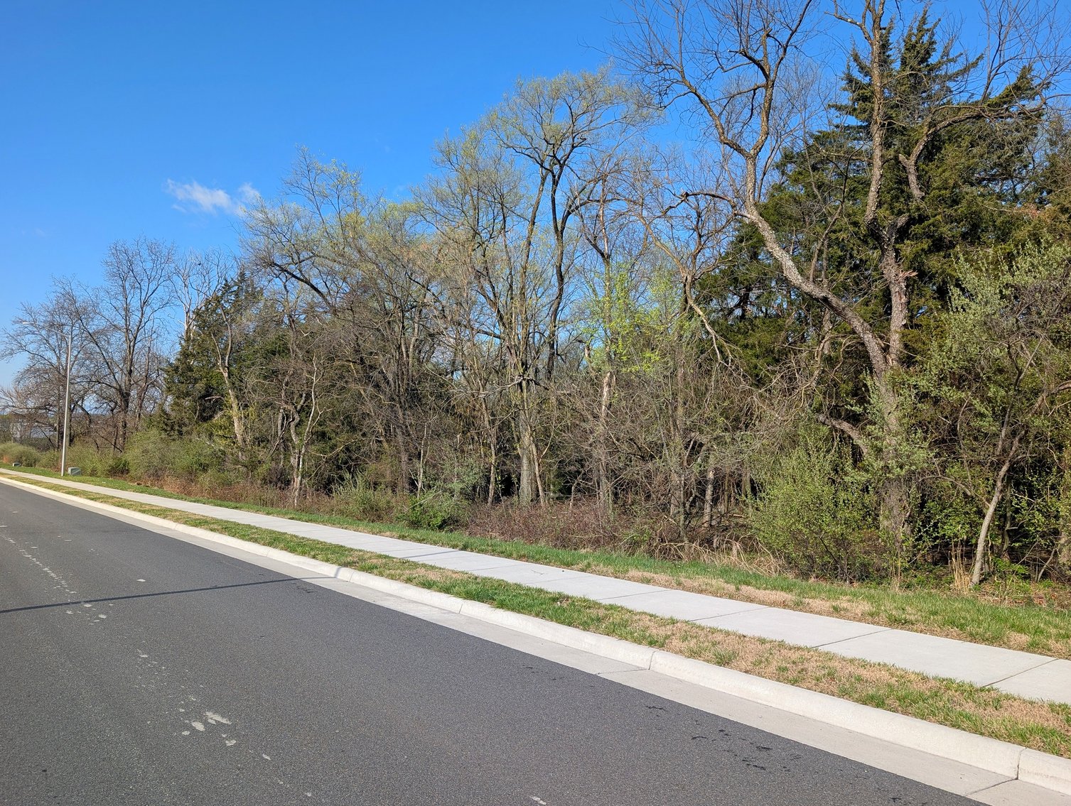 Image for 9.37 +/- Acres Commercial Real Estate In Harrisonburg VA Offered In Three Tracts