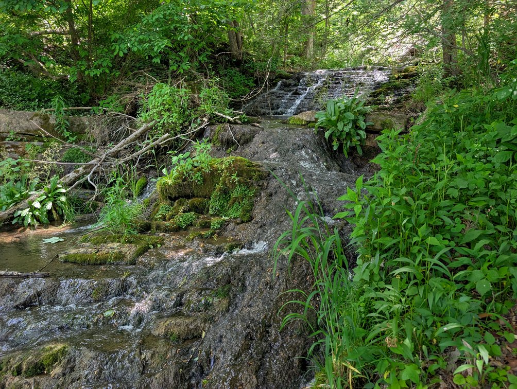 Image for 115 +/- Acre Estate In Mercer County WV