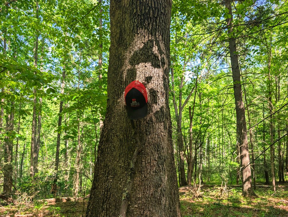 Image for 115 +/- Acre Estate In Mercer County WV