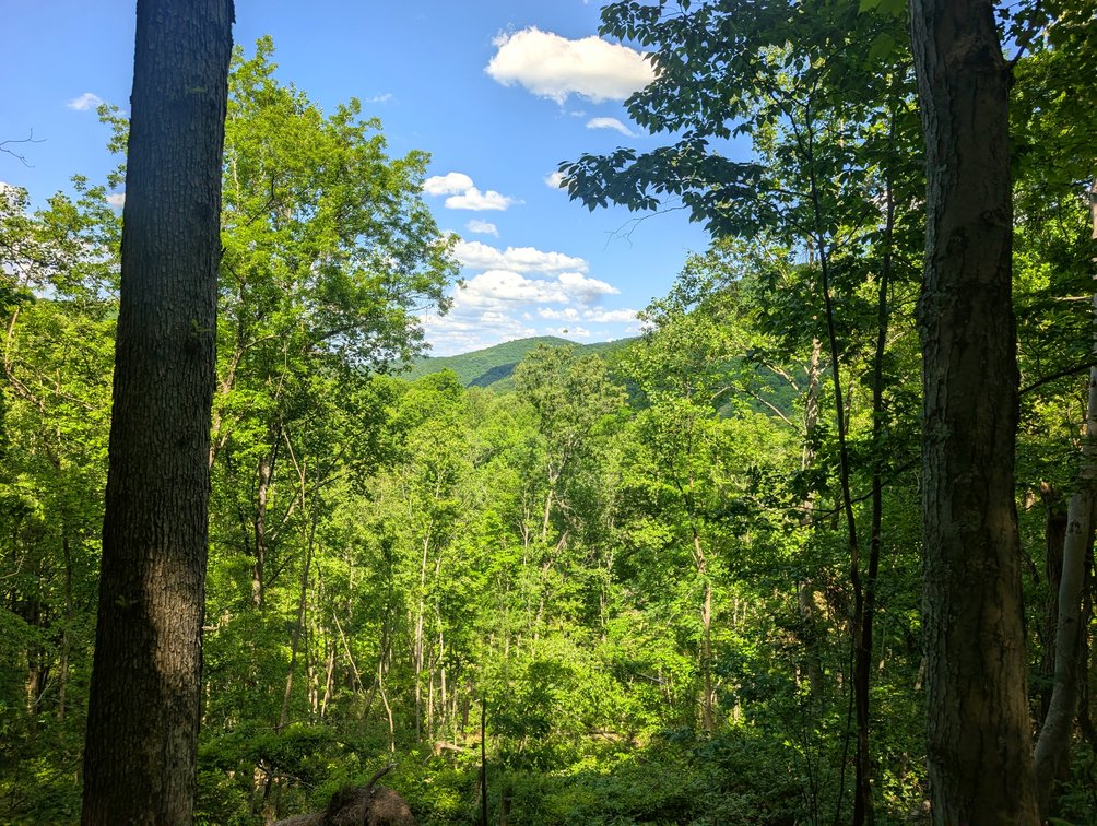 Image for 115 +/- Acre Estate In Mercer County WV
