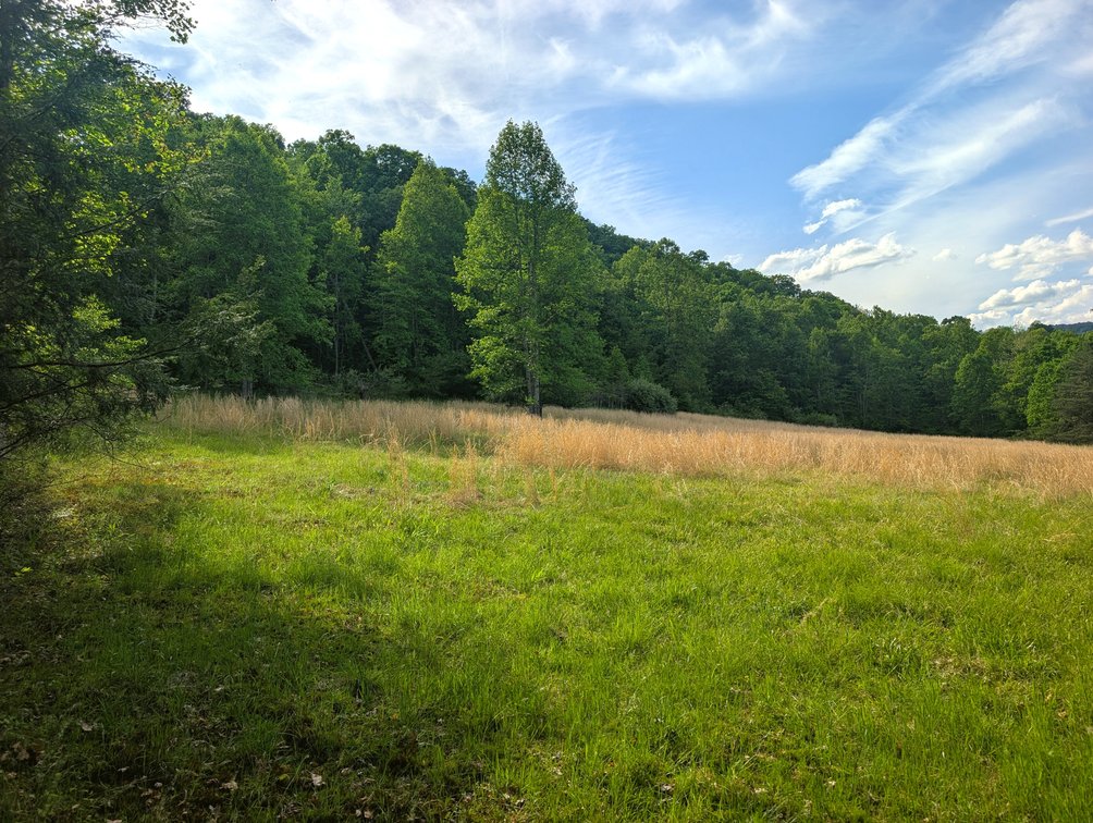 Image for 115 +/- Acre Estate In Mercer County WV