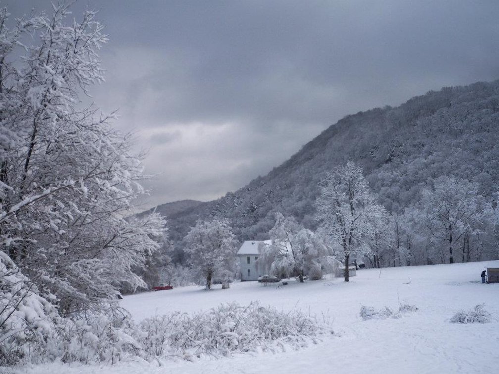 Image for 115 +/- Acre Estate In Mercer County WV
