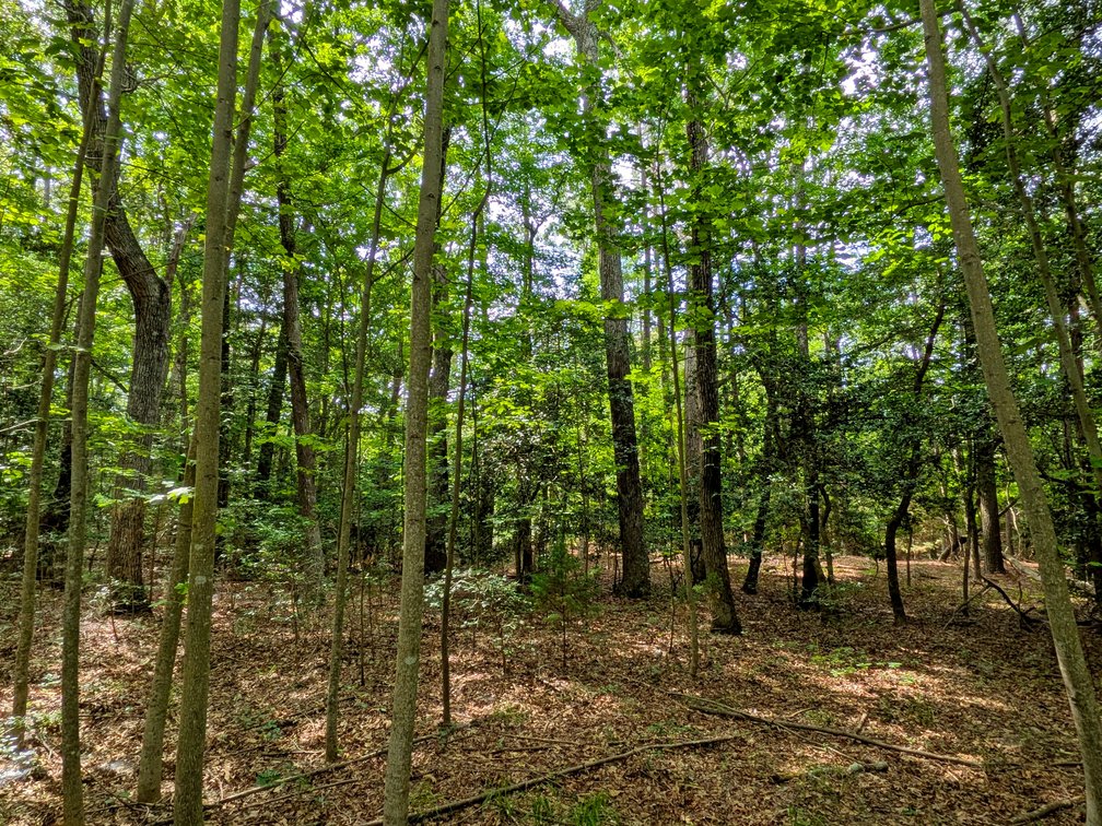 Image for 2.9 +/- Acre Waterfront Lot Near Kinsale VA
