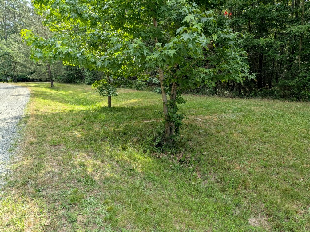 Image for 2.9 +/- Acre Waterfront Lot Near Kinsale VA