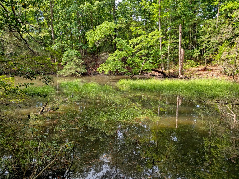 Image for 2.9 +/- Acre Waterfront Lot Near Kinsale VA