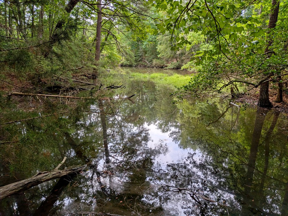 Image for 2.9 +/- Acre Waterfront Lot Near Kinsale VA