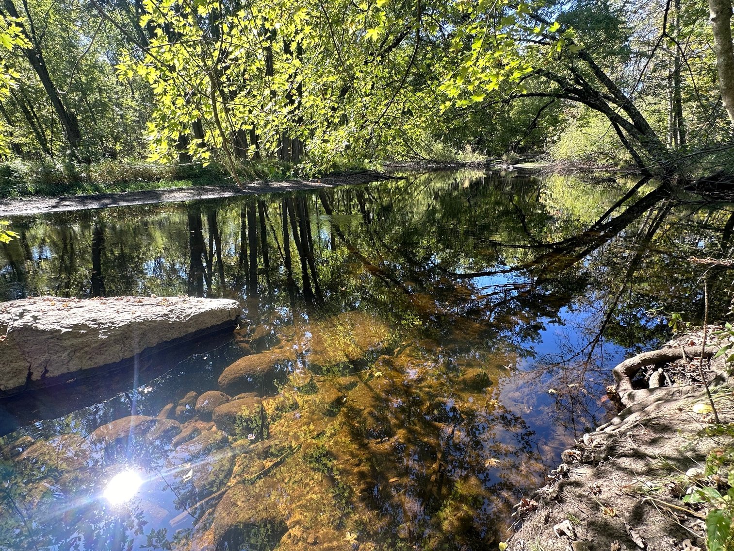 Image for River Lane Waterfront Lots Auction