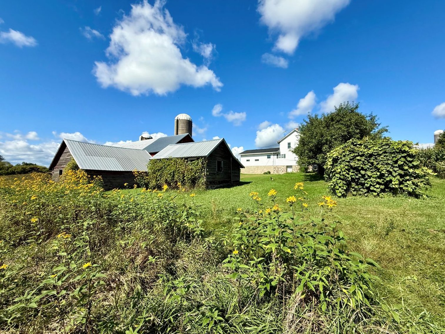 Image for Mielke Road Real Estate Auction