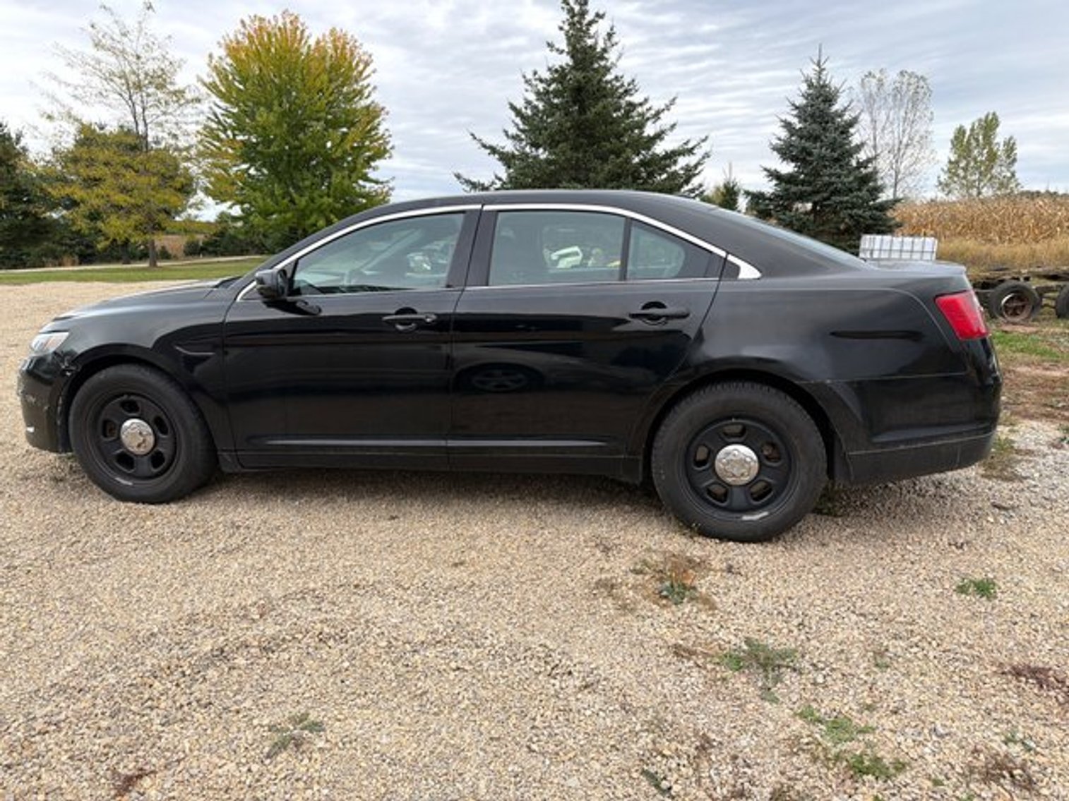 Image for Big Falls Estate Auction