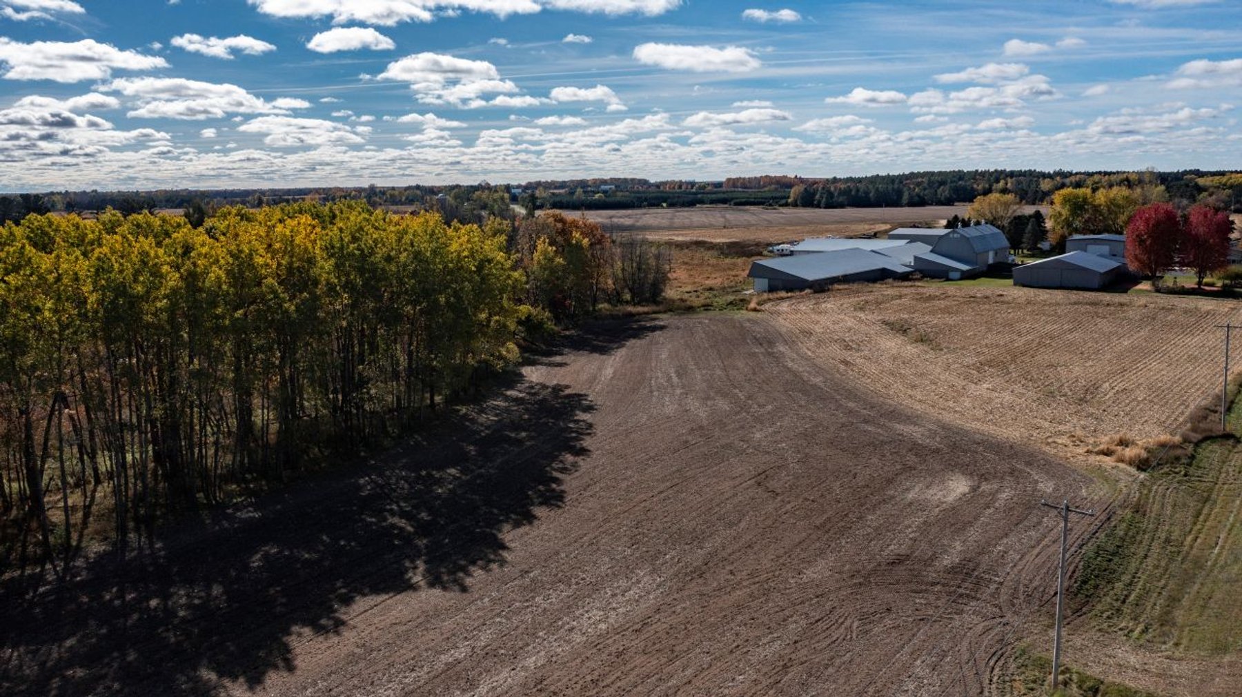 Image for Embarrass Lots Auction