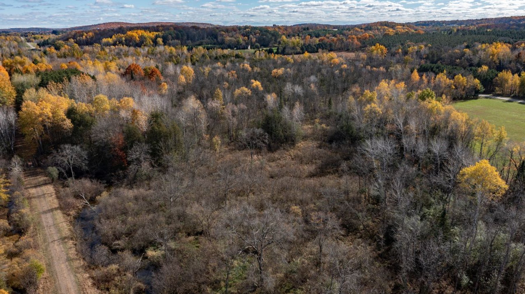 Image for David Haufe Land Auction