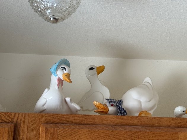 Image for Wedde Personal Property