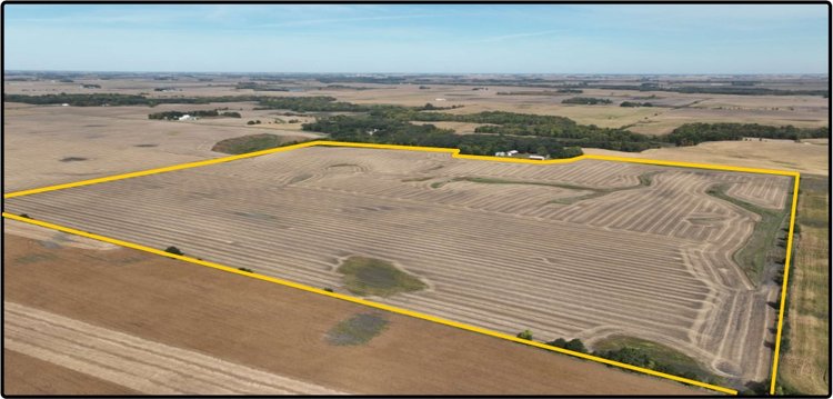 Image for Closed - Blue Earth Co., MN - 143.52 Ac., m/l (190-0245-01)