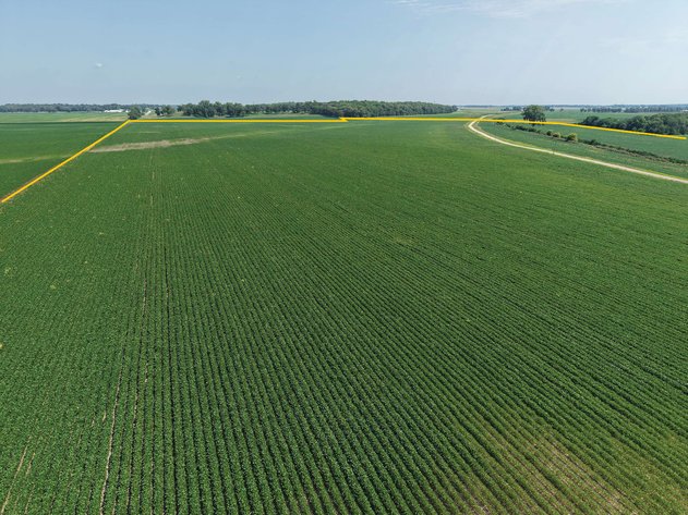 Image for Henry Co., IL - 168.85 Ac., ml/ (100-0249)