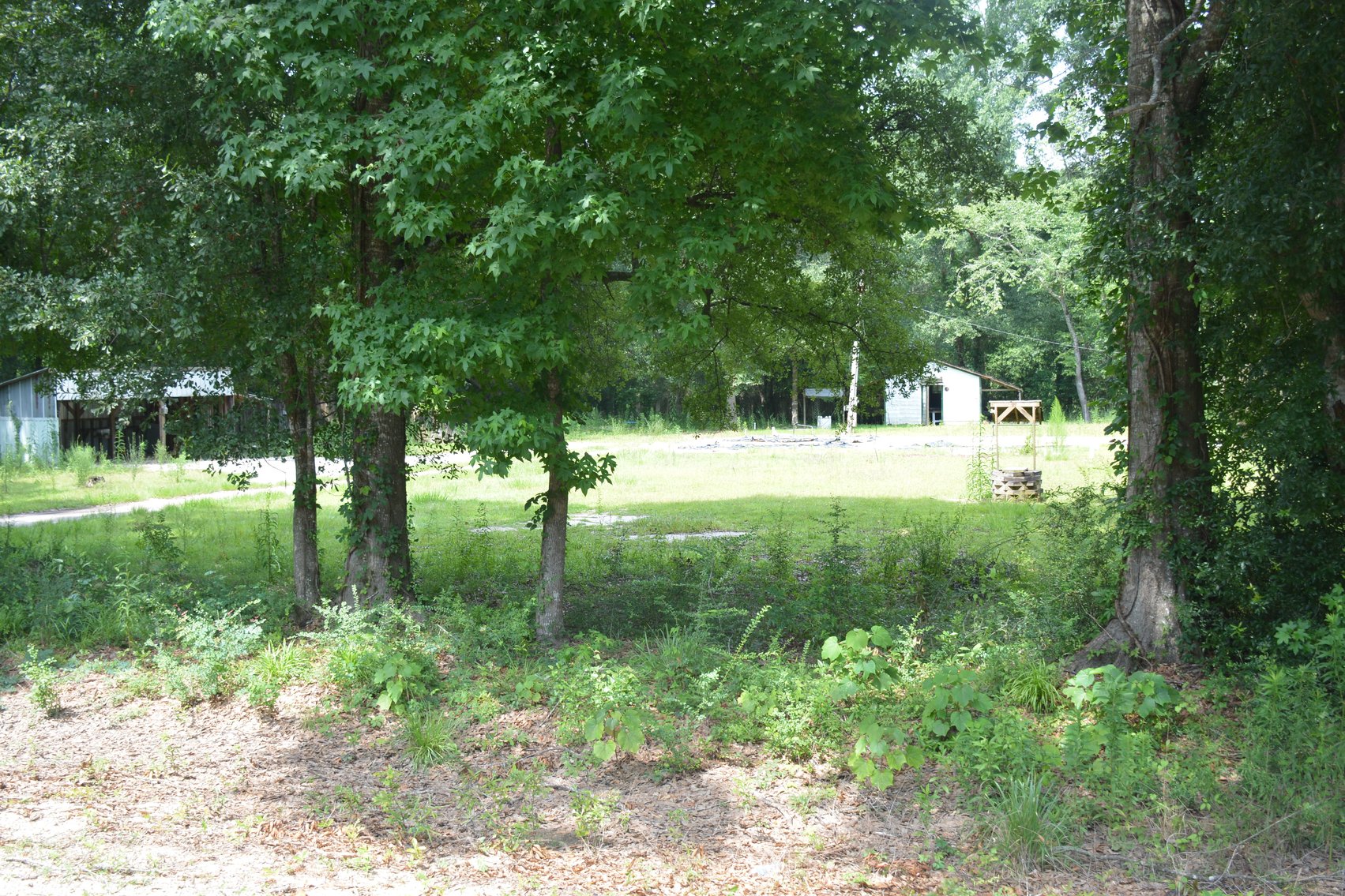 Image for BANKRUPTCY AUCTION CASE NO. 25-10441,   .79+/- acre Pearl River, LA