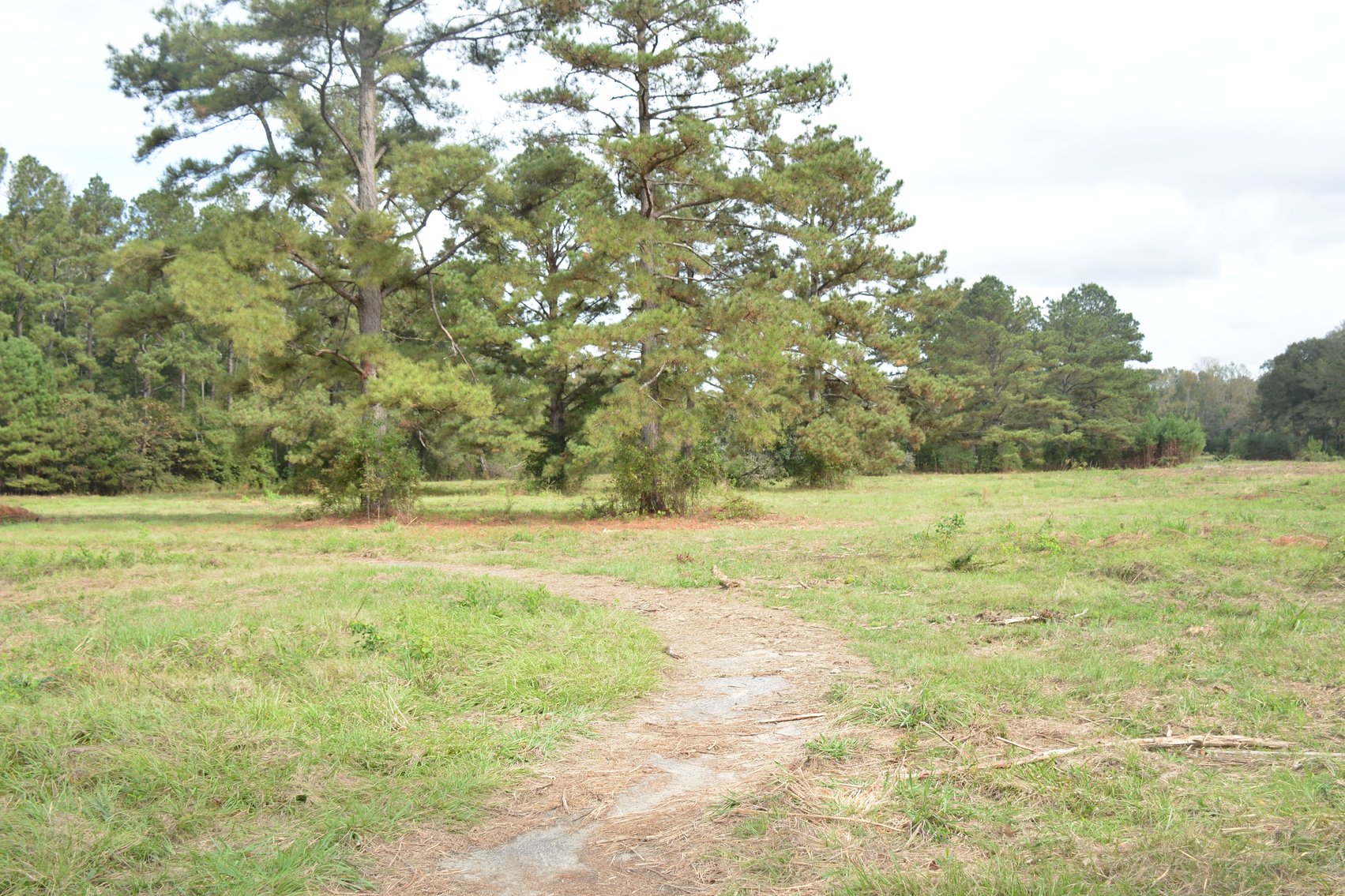 Image for AUCTION 71.43 +/- Acres, Former Magnolia Creek Golf Course