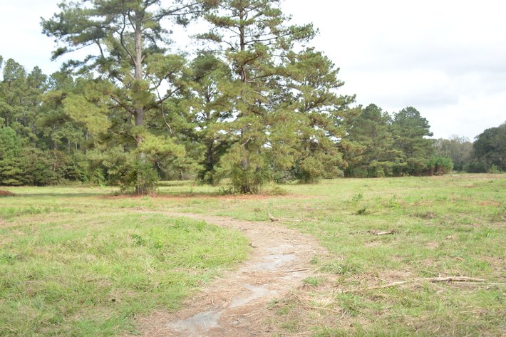 Image for AUCTION 71.43 +/- Acres, Former Magnolia Creek Golf Course