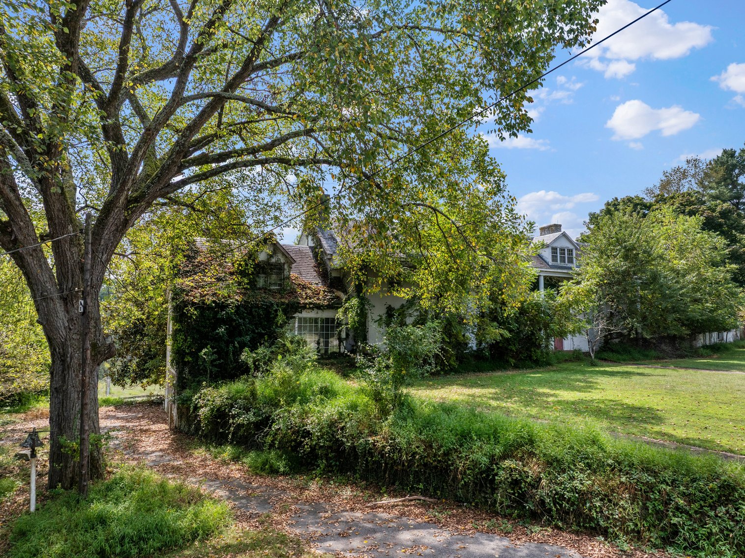 Image for BANKRUPTCY AUCTION - Taro Investment Corporation, Ellicott City, Maryland 102 Acres + Alkaline Water Spring