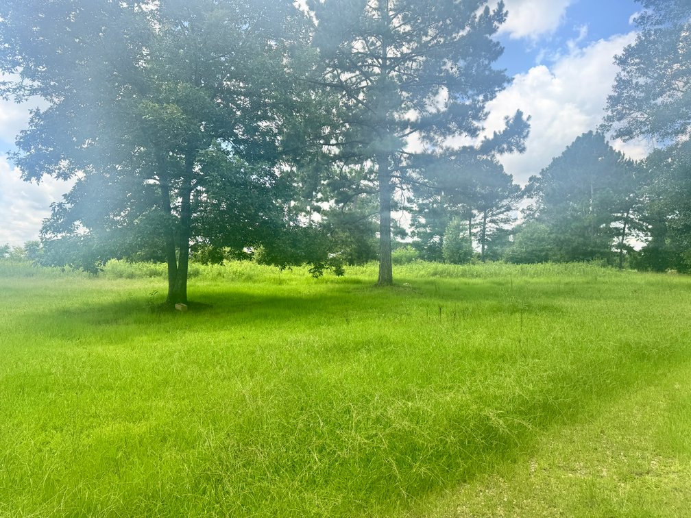 Image for 13 Acres - 72045 S. Lewiston Road, Kentwood, LA 70444