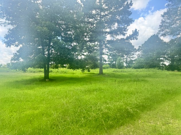 Image for 13 Acres - 72045 S. Lewiston Road, Kentwood, LA 70444