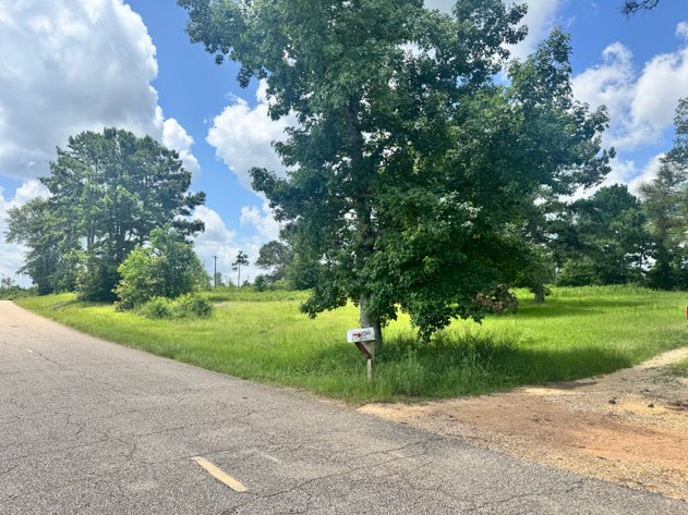 Image for 13 Acres - 72045 S. Lewiston Road, Kentwood, LA 70444