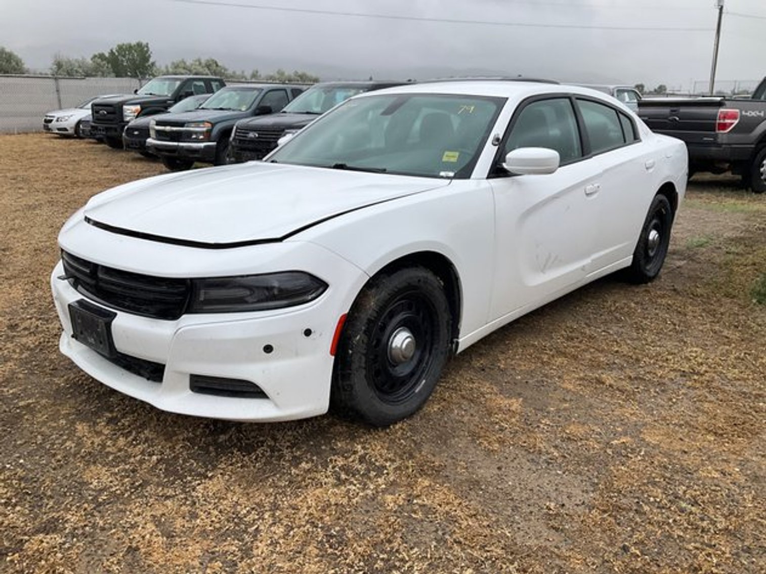 Image for 2025 State of Montana Surplus Property Auction