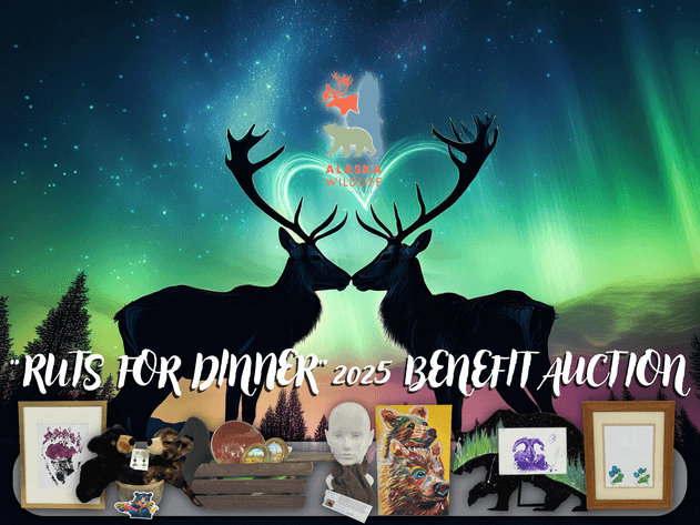 Image for Alaska Wildlife Conservation Center Benefit Auction 2025
