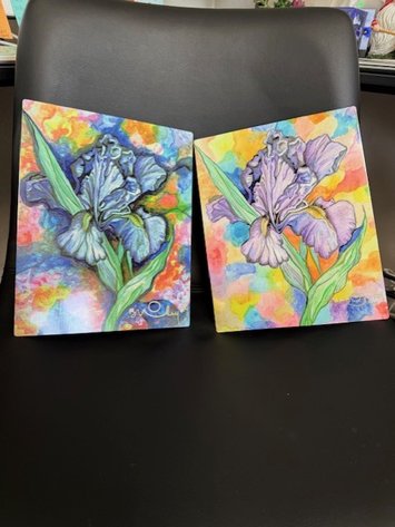 Image for Freedom House Kenai CHARR Fundraising Auction 2025