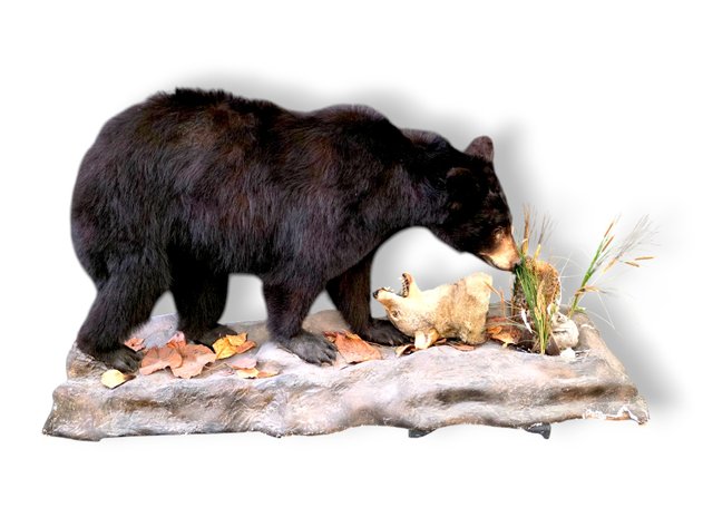 Image for November 2025 Fantastic Finds Auction