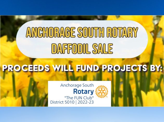 Image for Anchorage South Rotary Daffodil Fundraiser 2026
