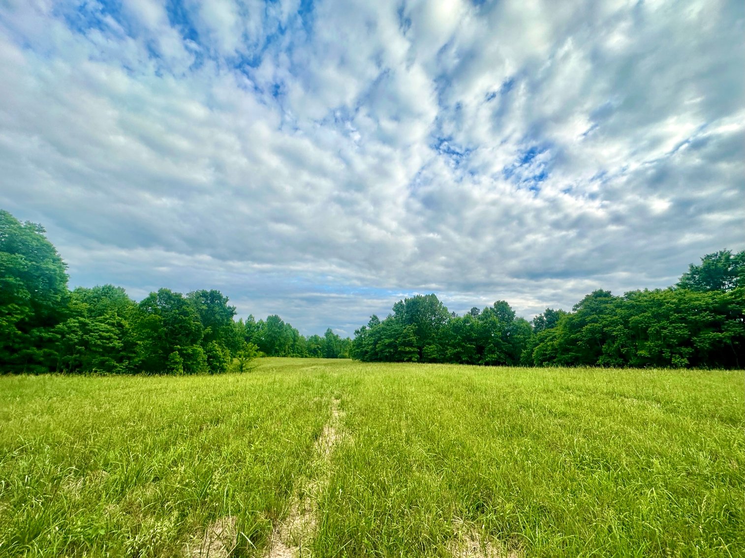 Image for 150+/- Acre Palmyra AUCTION