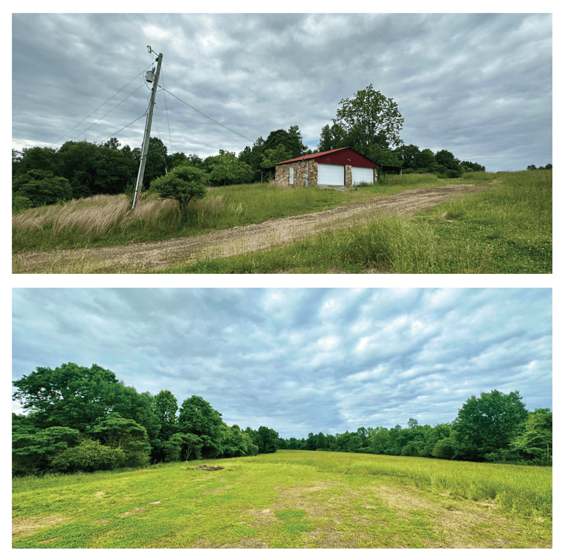 Image for 150+/- Acre Palmyra AUCTION