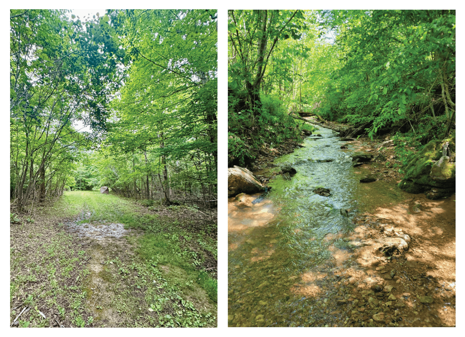 Image for 150+/- Acre Palmyra AUCTION