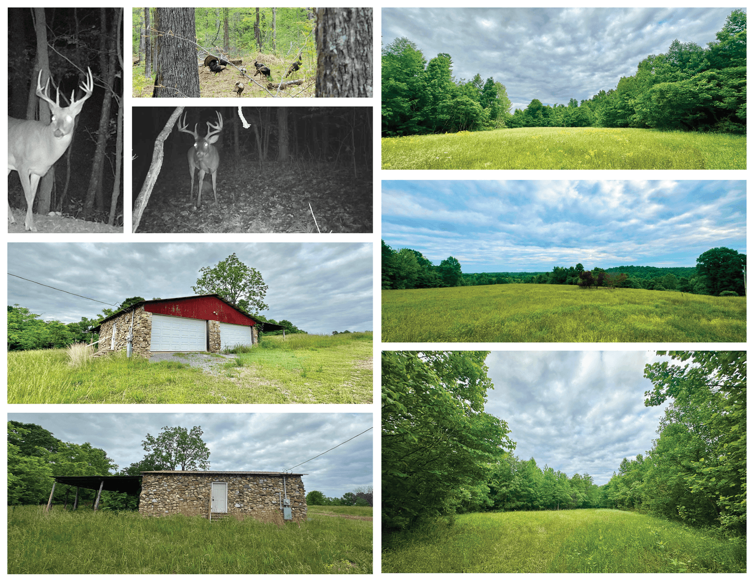 Image for 150+/- Acre Palmyra AUCTION