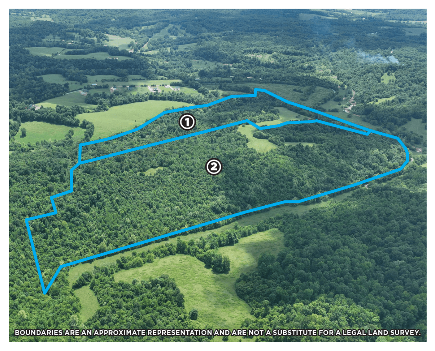 Image for 150+/- Acre Palmyra AUCTION