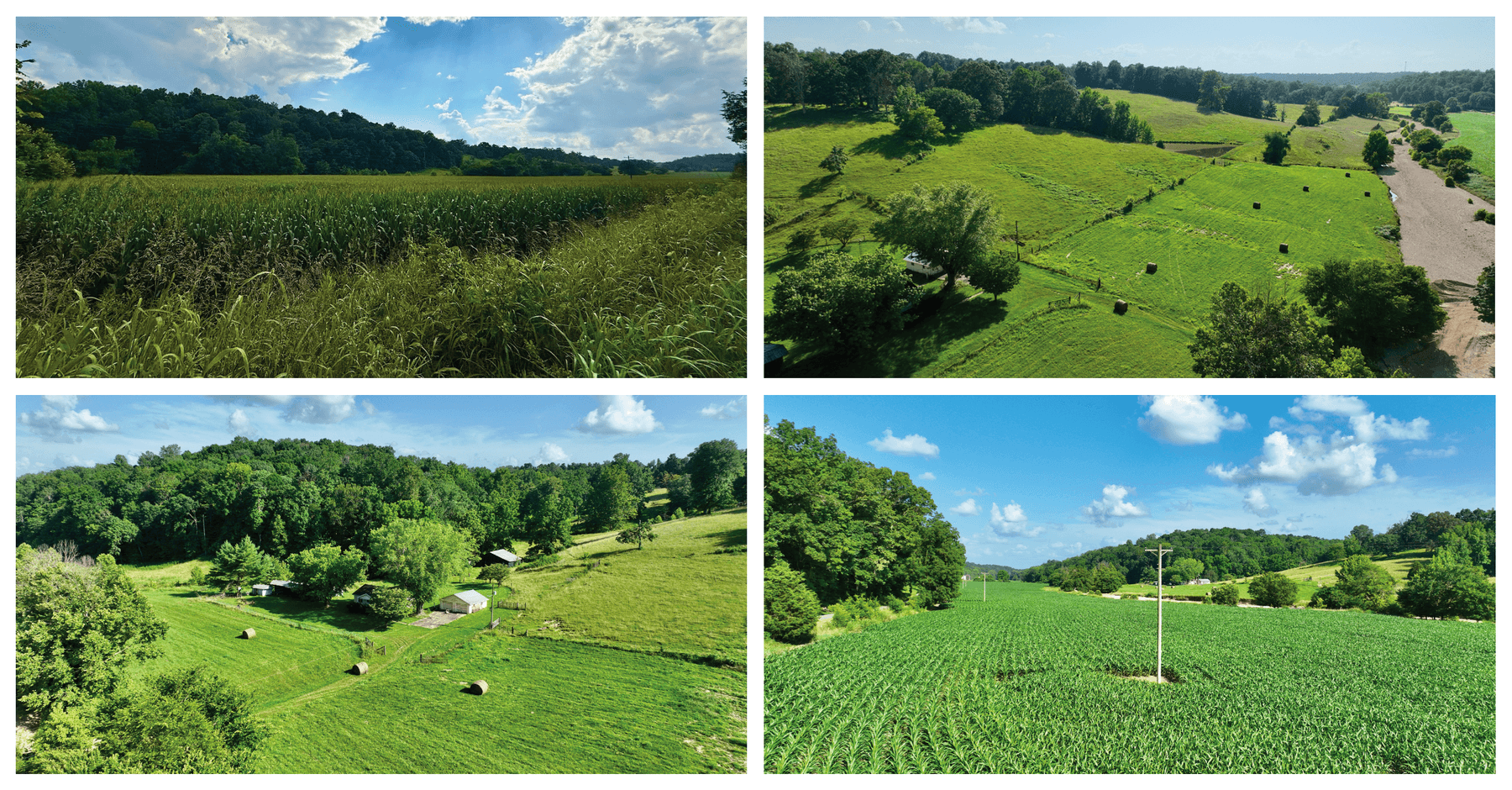 Image for 5645 Will Jackson Rd., Cadiz, KY 42211 Auction